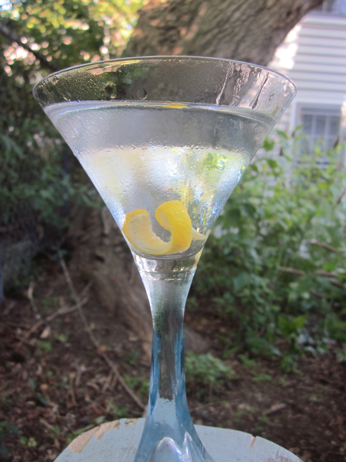 A Martini in the Garden
