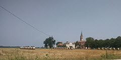 Hayfield in Parma