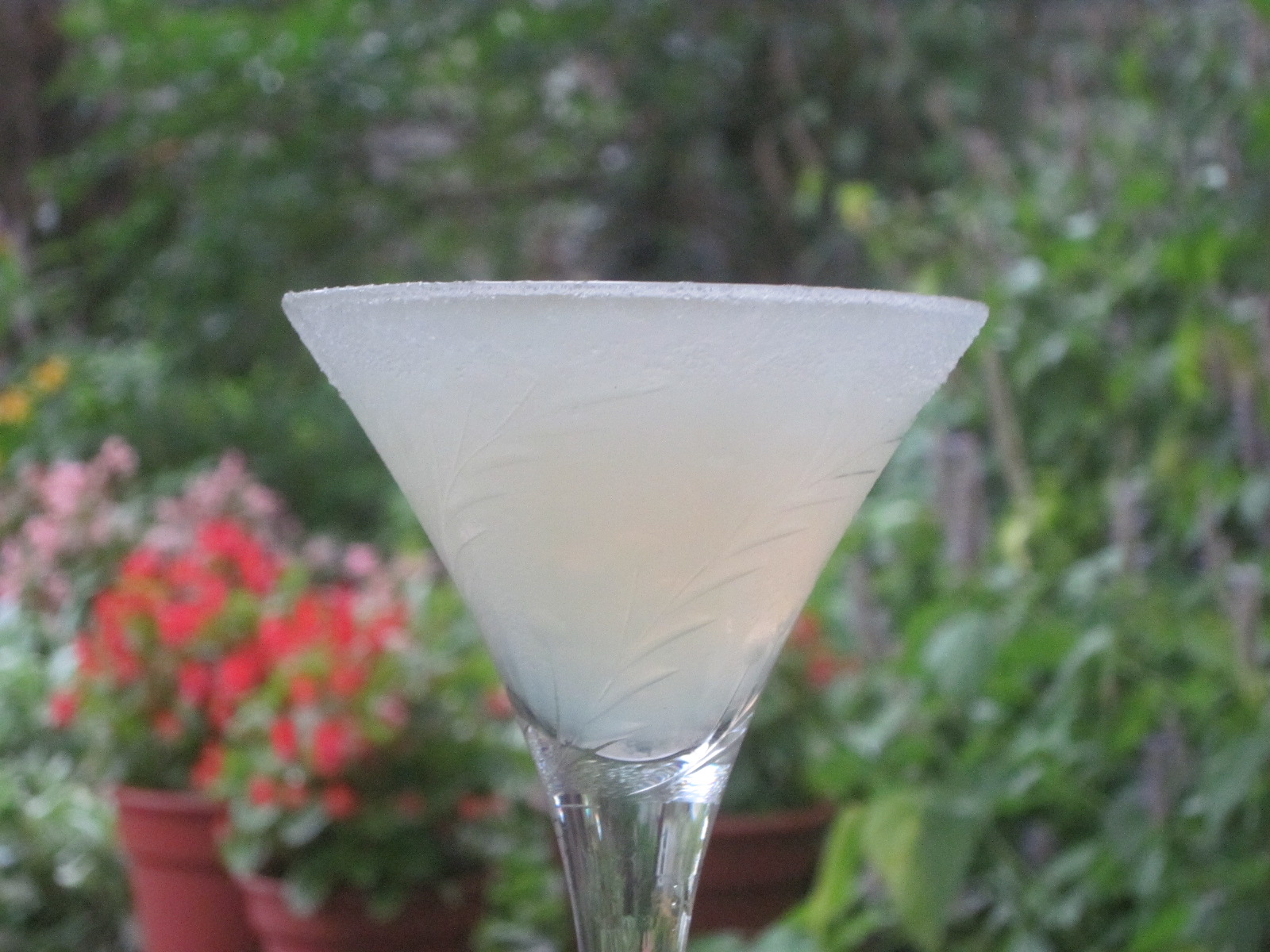 A Classic Daiquiri