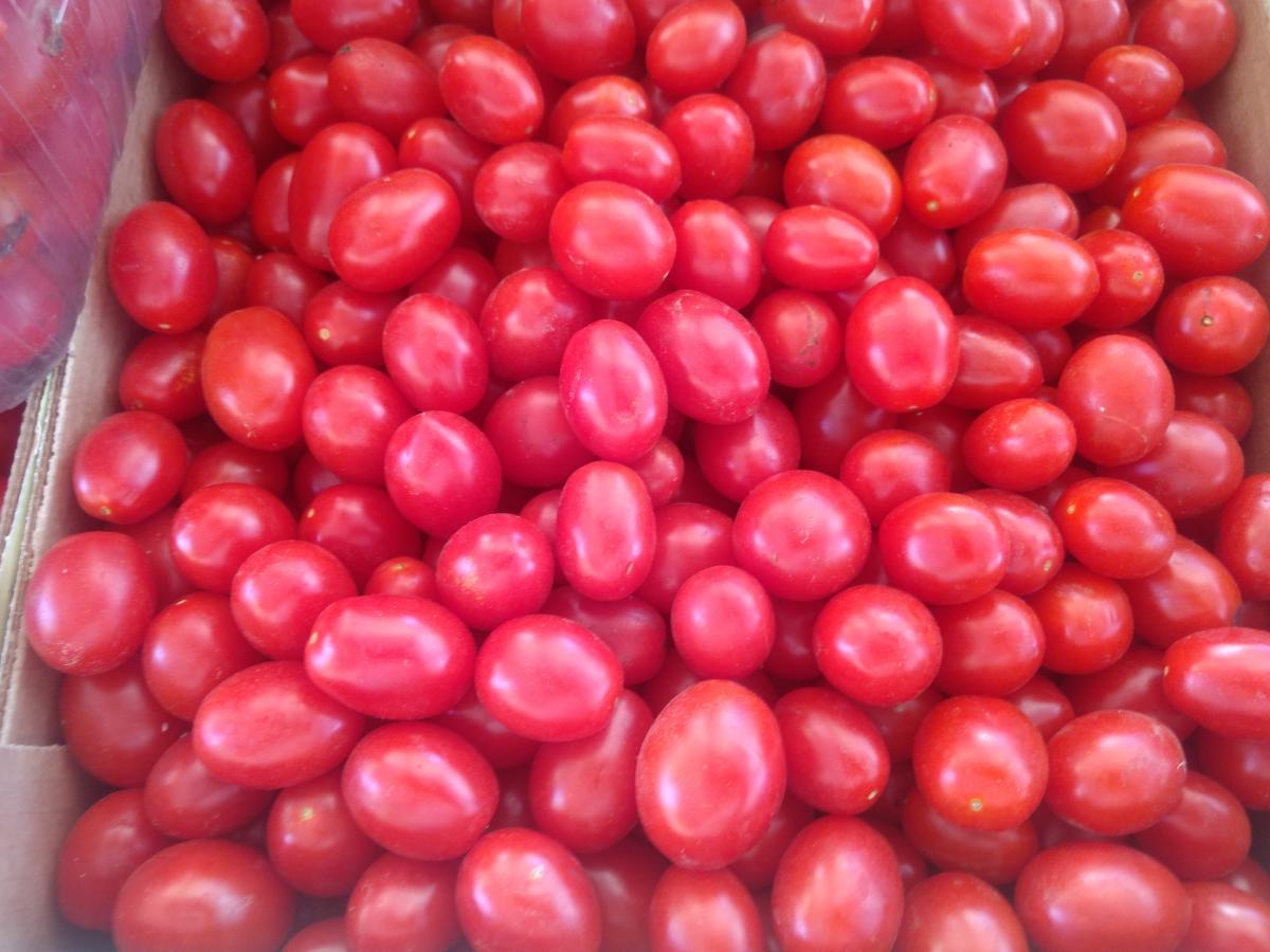 Roma Tomatoes at the Farmers' Market in Siracusa