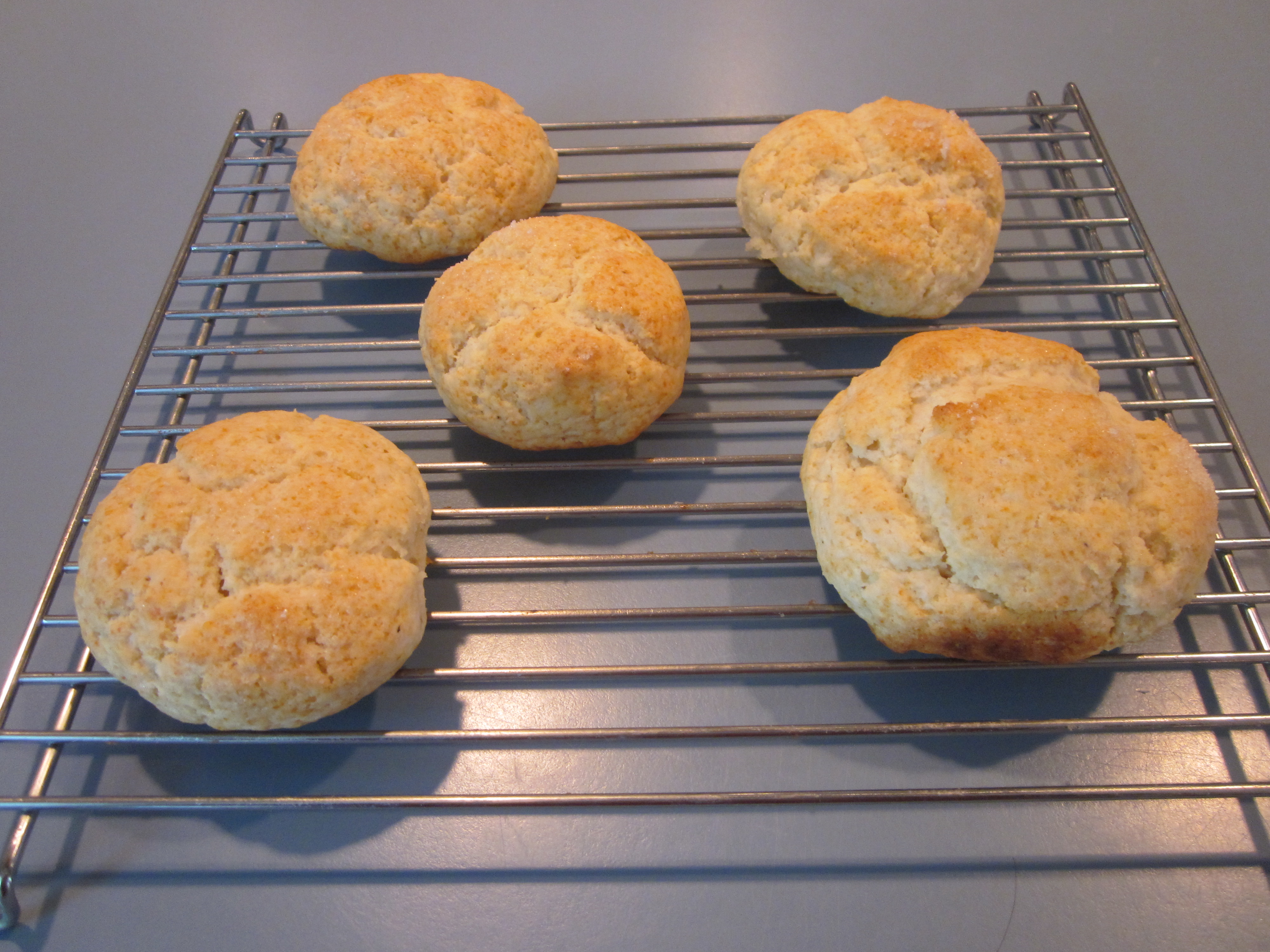 Scones hot from the oven