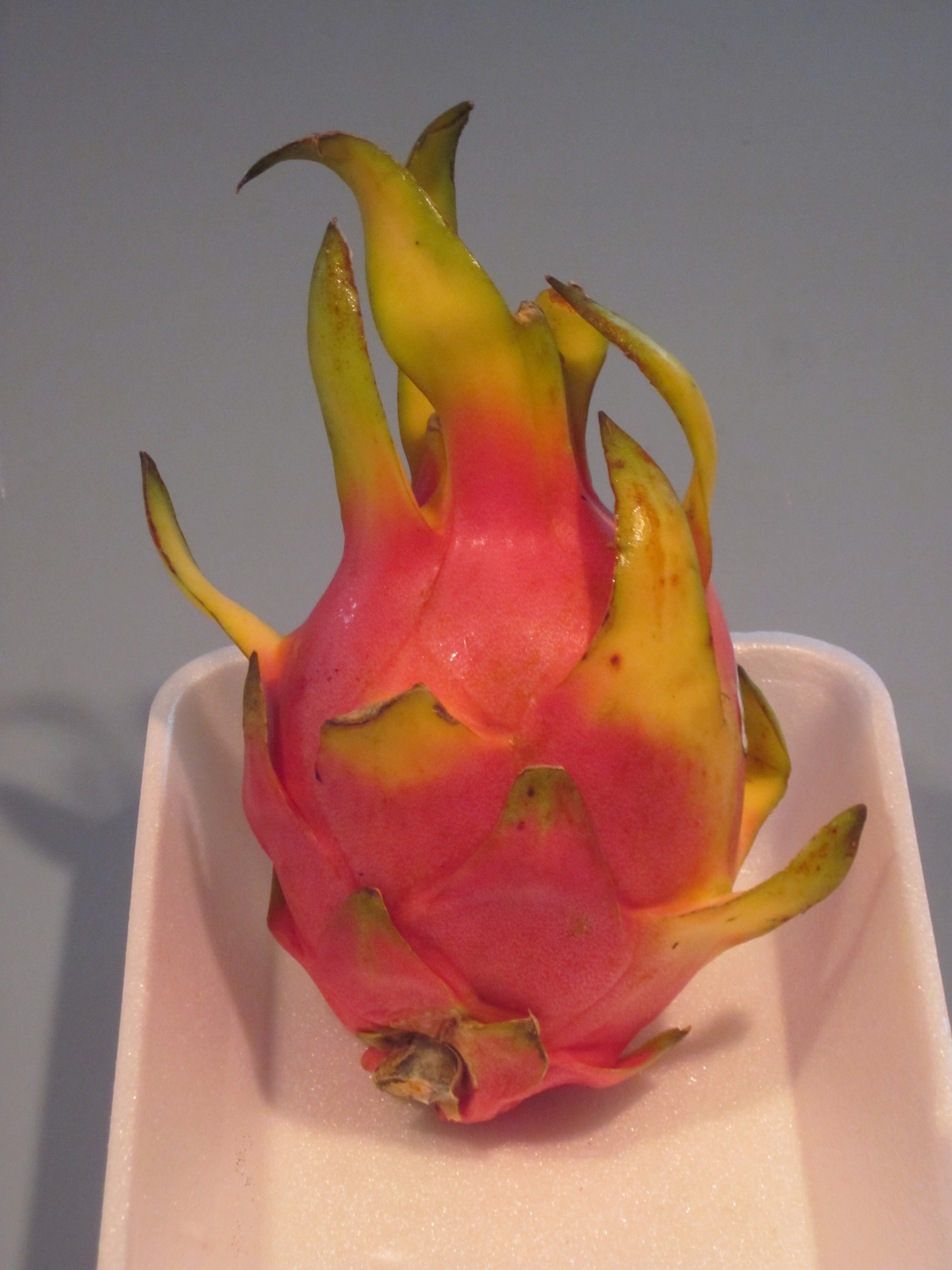 Dragon Fruit from Worcester