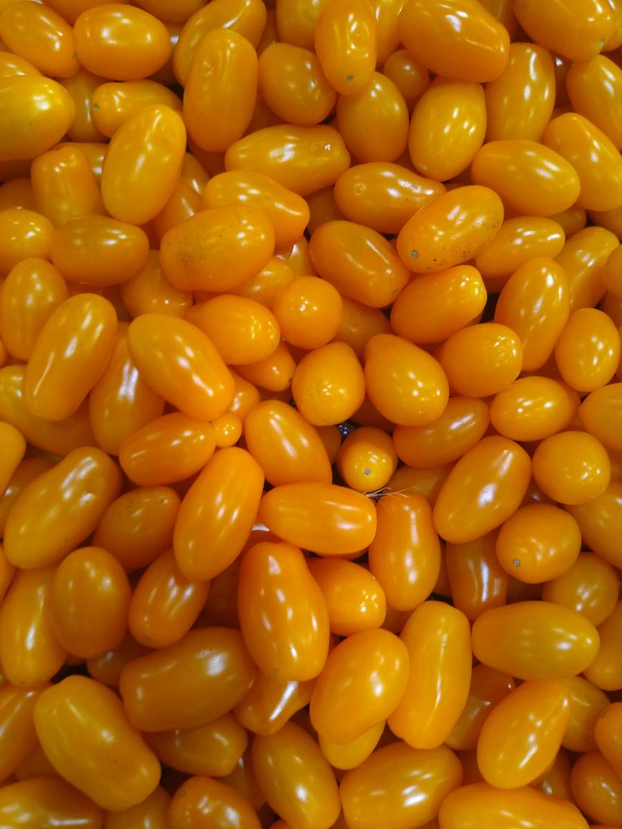 Tomatoes at Brothers Market, Duxbury