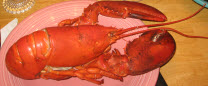 Lobster