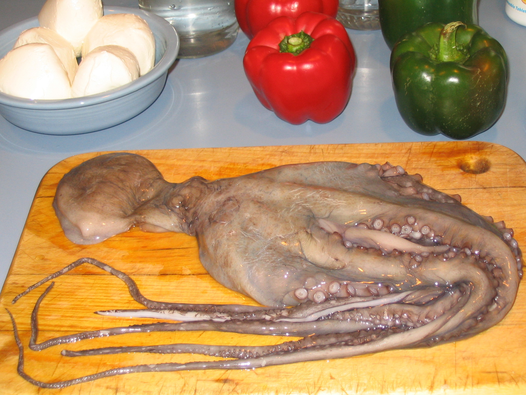 Octopus uncooked
