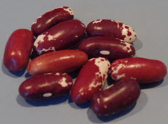 Jacob's Cattle beans