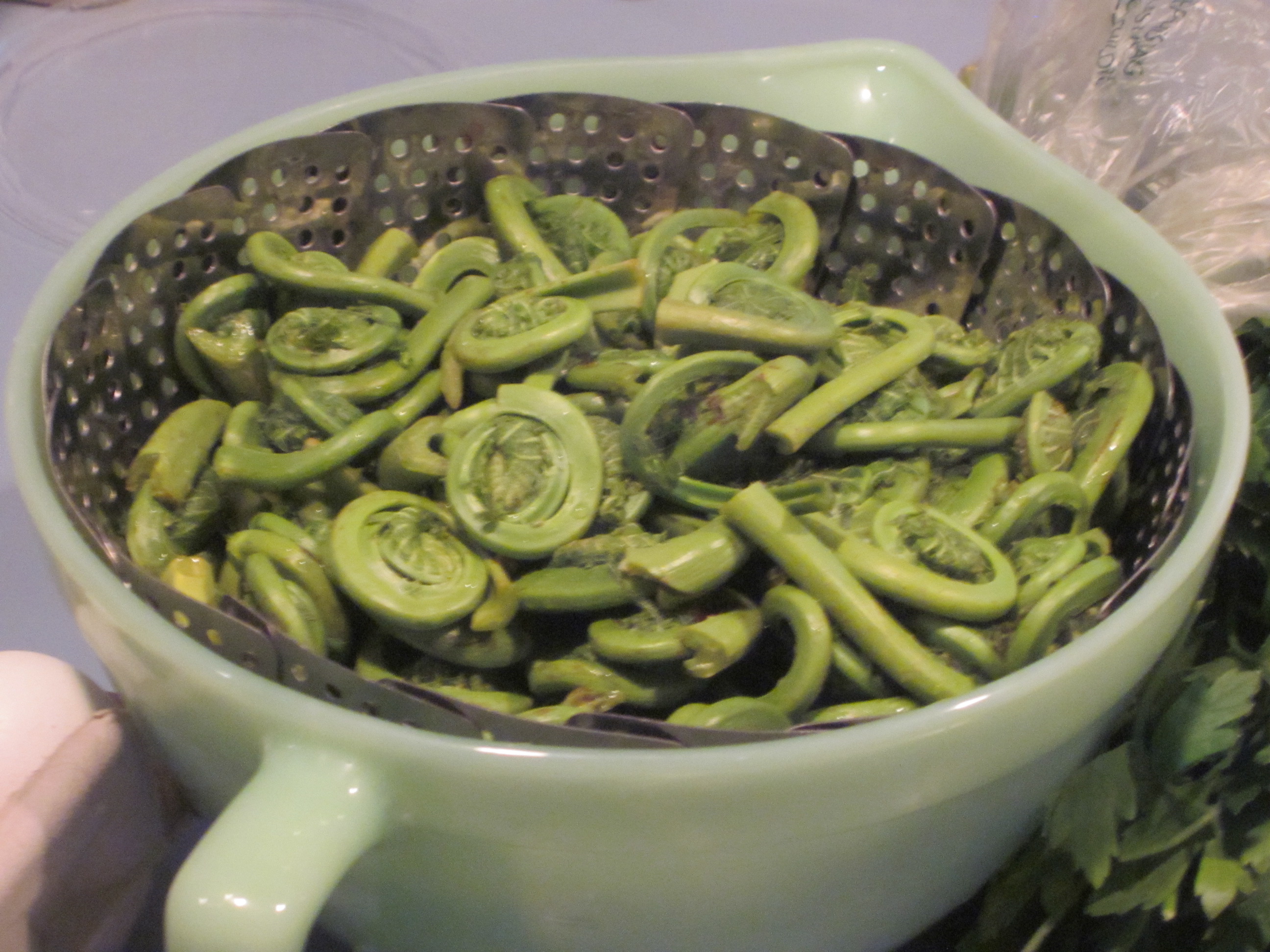 Fiddleheads