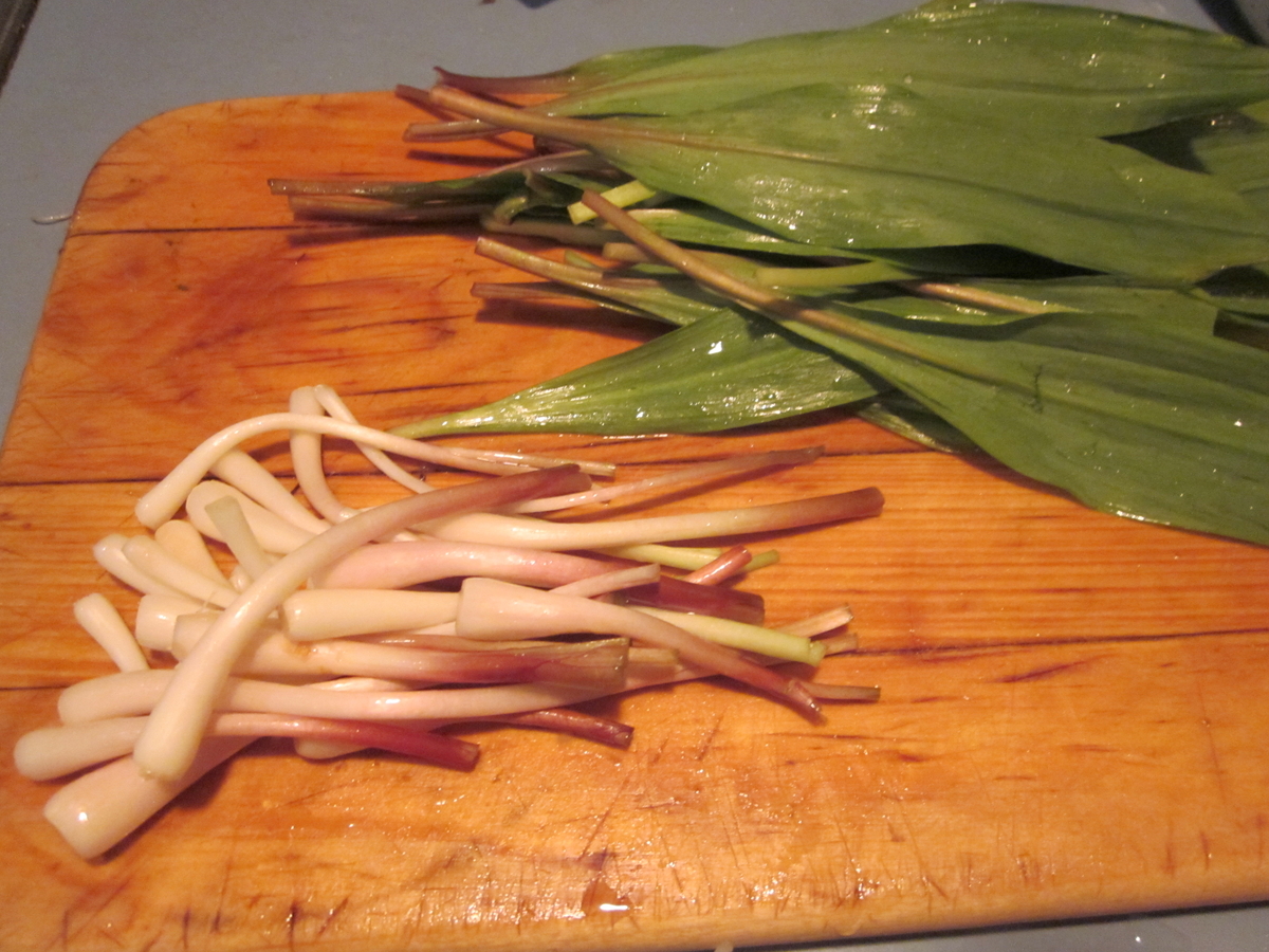 ramps cleaned and trimmed for use