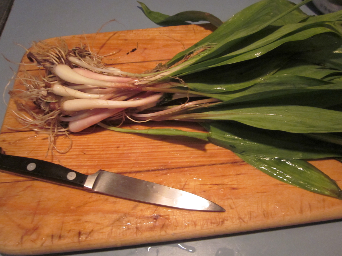 Ramps, or Wild Garlic