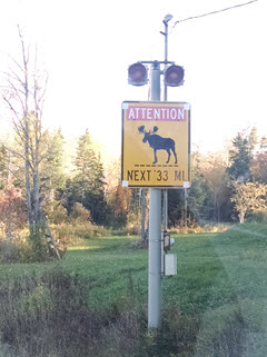 Moose Crossing - 33 miles!