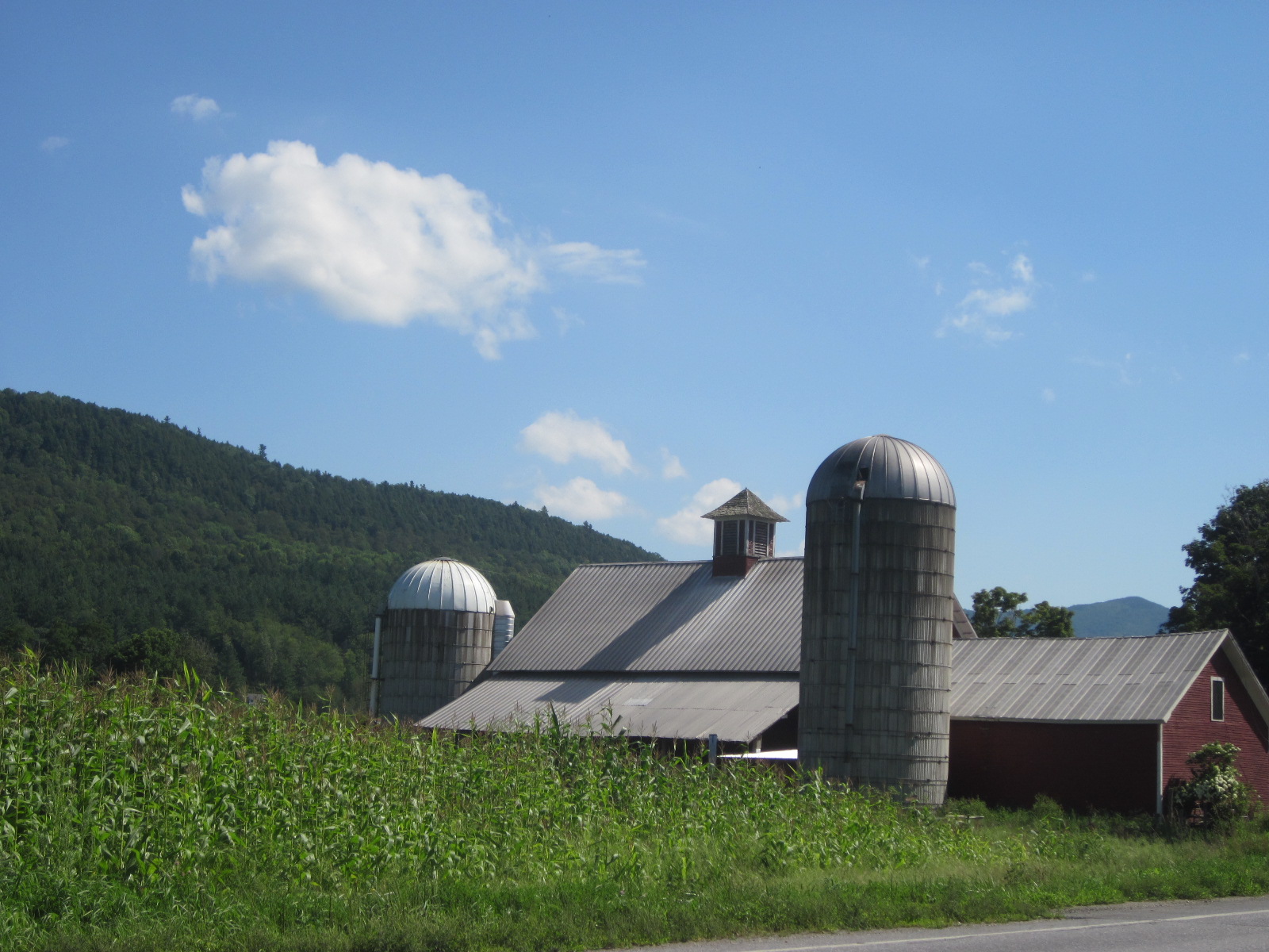 farm country in the Mad River Valley
