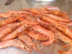 "Shrimp in the Siracusa Market, Sicily"
