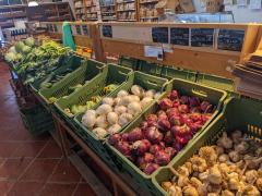"The produce market at LaSelva"