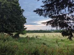 "Grantchester Meadow"