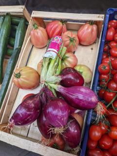 "red Onions of Tropea"