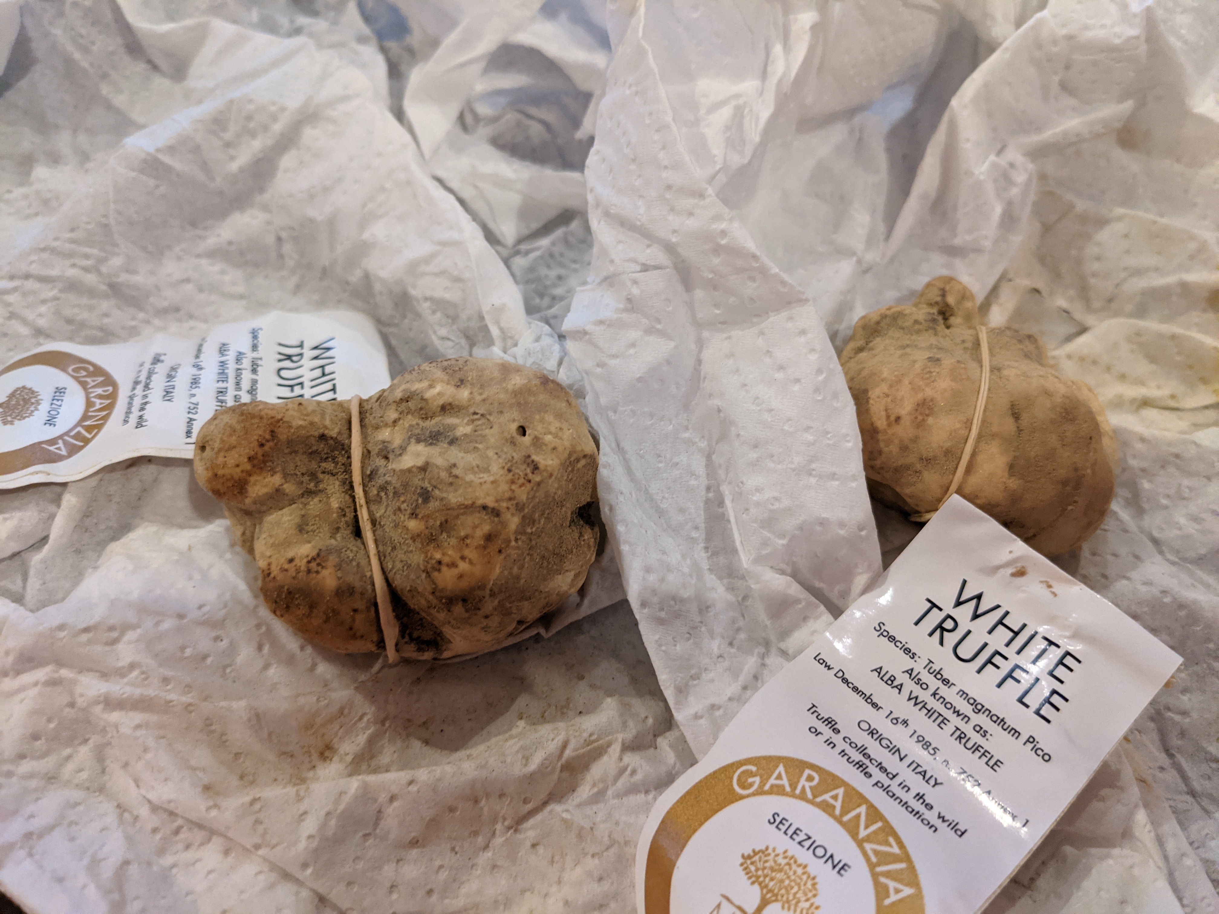 "White Italian Truffles"