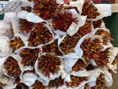 "Chilis grown in the lagoon on Sant'Erasmo"