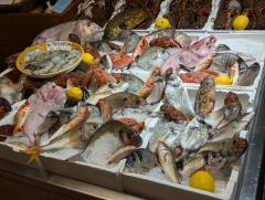 "A fish dinner in Bari"