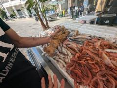 "Gallipoli fishermen's market"