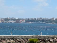 "Mussel farming in Taranto"