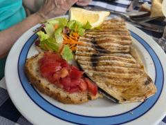 "Swordfish in Scilla"