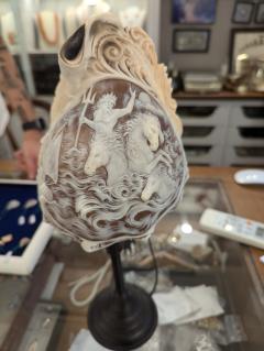 "whole-shell cameo lamp from Bimonte"