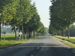 "Driving through Normandy Dairy Country"