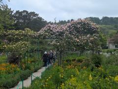 "In Monet's garden"