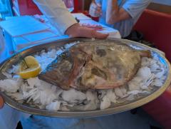 "M. John Dory"