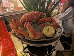 "My Spider Crab"
