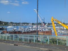 "Busy Breton Harbor"