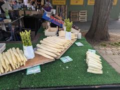 "White asparagus everywhere"