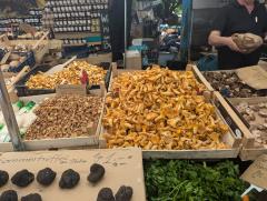 "Lots of mushrooms, including chanterelles and truffles"