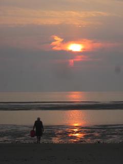 "Richmond Clamming"