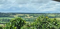 "Countryside of southwest England"